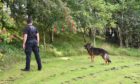 Police search dog teams out at the grounds of Aviva, and on the path from Buckie Braes to Necessity Brae in the search for Steven Squire.