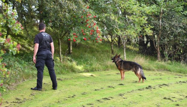 Police search dog teams out at the grounds of Aviva, and on the path from Buckie Braes to Necessity Brae in the search for Steven Squire.