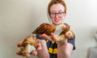 Sophie Morris with her three adult Giant African Land Snails