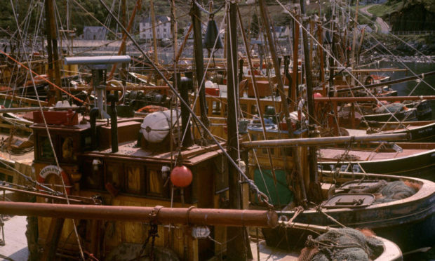 Fishing boats tied up