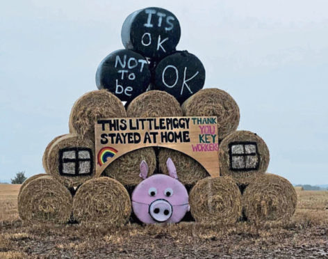 Lower Speyside YFC’s little piggies bale art creation won top prize in the SAYFC competition.