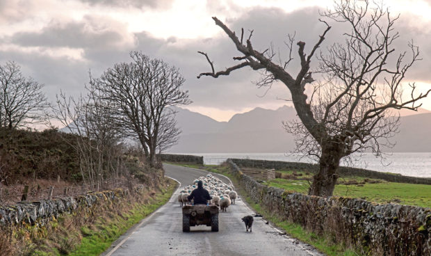 WRONG DIRECTION: The UK farming sector is under threat, campaigners warn.