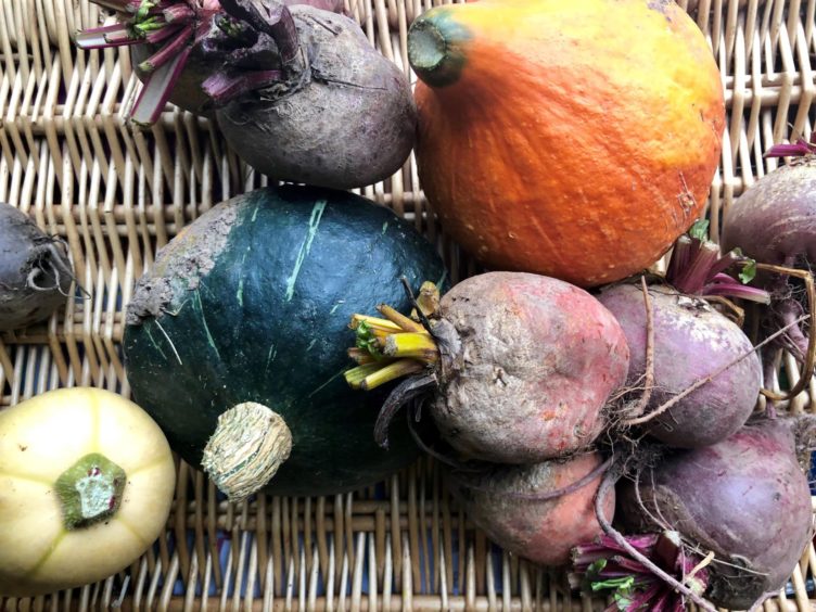 Delicious, seasonal produce.