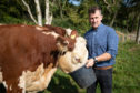 Welsh rugby referee Nigel Owens  is the owner of 35 Hereford cows.