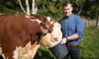 Welsh rugby referee Nigel Owens  is the owner of 35 Hereford cows.