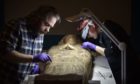 Conservation work on the mummy at Perth Museum and Art Gallery