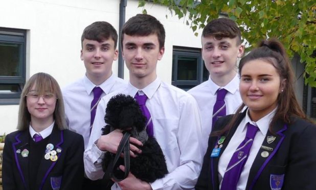 Pupils have welcomed Teddy the nurture cockapoo into the school.