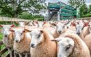 TOP QUALITY: The farming industry is concerned that any future trade deals after the Brexit transition period could undermine the UK’s high health and welfare standards.