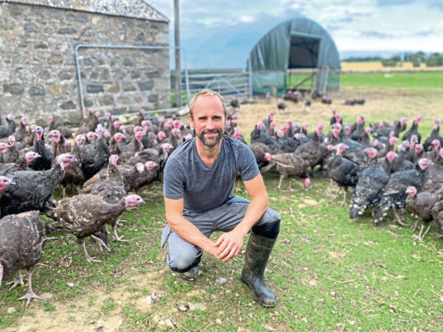 OPEN AIR CARE: Craig Michie says the welfare of his Barra Bronze turkeys is of prime importance.