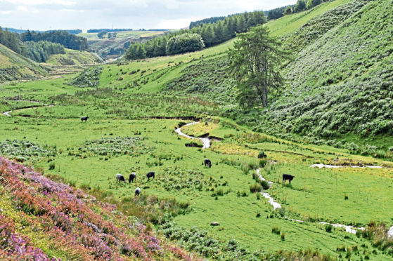CHANGE: Researchers at the James Hutton Institute are developing a transformation plan for their upland research farm, Glensaugh.