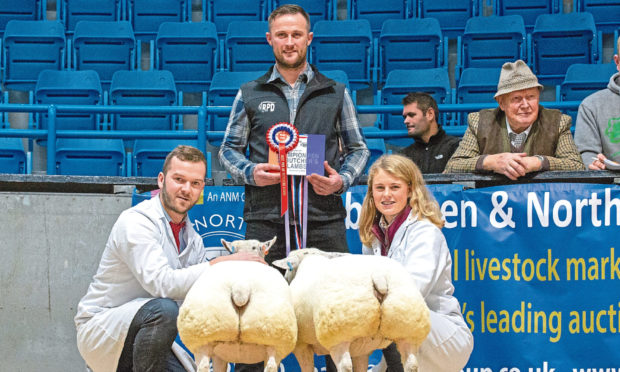 WINNERS: Beltex crosses from Rory Gregor, left, won last year’s prime lambs show.