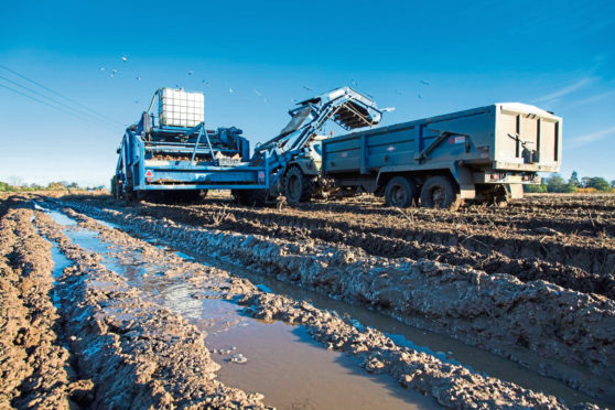 WASHOUT: Potato growers were blighted with difficult and wet conditions when harvesting their crops in 2020 for the second year in a row.