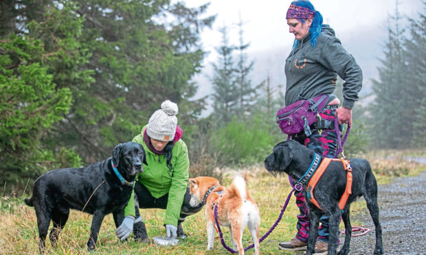 Gayle Ritchie and Angie Gray of K9 Trax with their dogs in Glen Isla. The picture shows Gayle pressing her dog's paw into a clay mould.