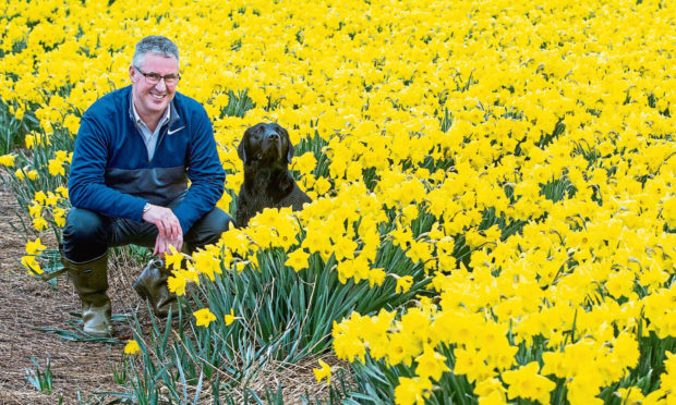 PICK OF THE BUNCH: Above, Mark Clark from Grampian Growers with his dog Baxter