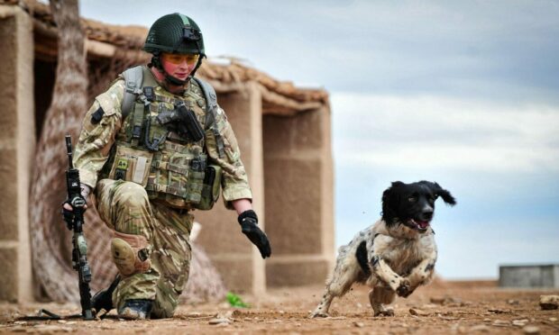 Liam Tasker with his military dog Theo