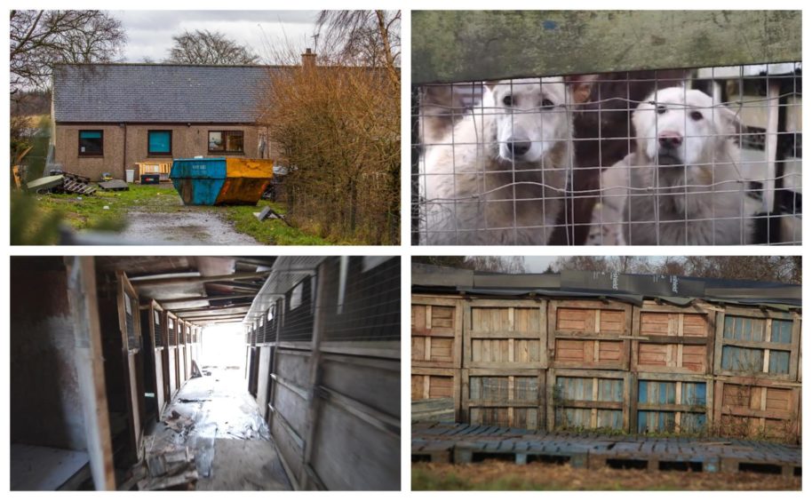 Glenalmond puppy farm.