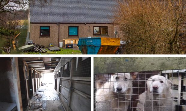 The alleged puppy farm near Glenalmond.