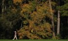 PGA champion Collin Morikawa walks off the third green at Augusta this week.
