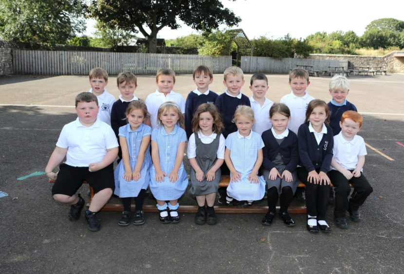 Kettle Primary School P1 pupils.