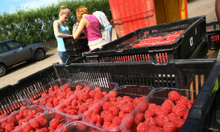 Farms in Scotland have said they need 10,000 seasonal staff for six to nine months of the year.