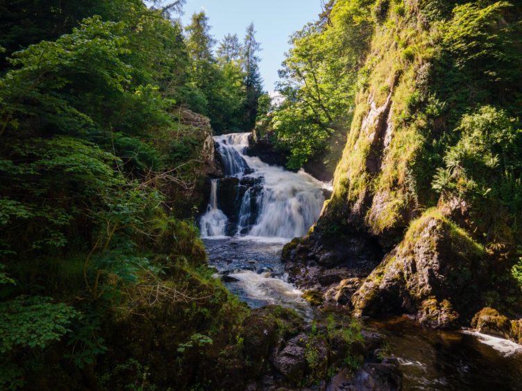 Reekie Linn. Image: Josh Forbes. 