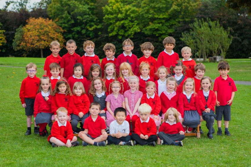 Lawhead Primary School - P1 pupils.