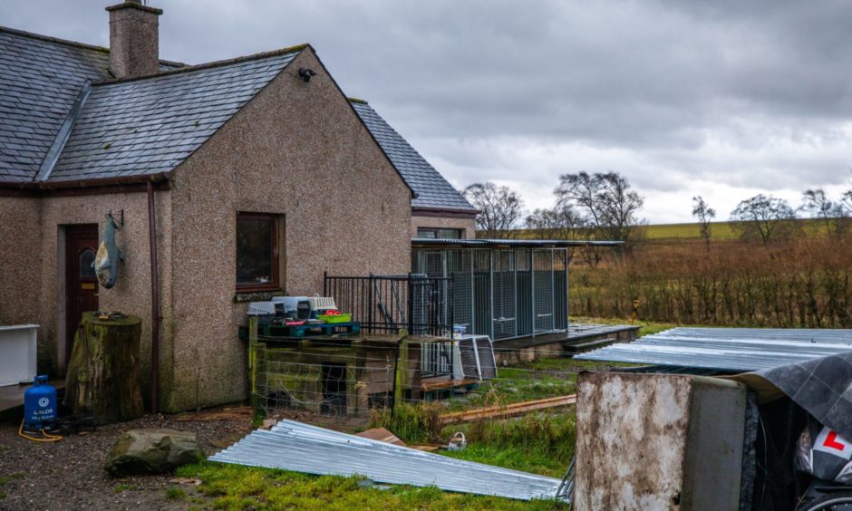 Glenalmond puppy farm