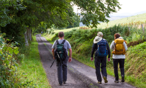 A survey will help to shape investment strategies and promote growth in farm tourism.