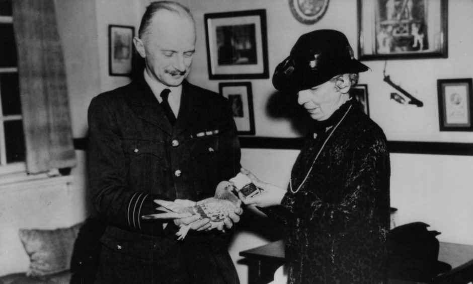 'Winkie' first winner of the Dickin Medal, with Mrs Dickin and Wing Commander Rayner.