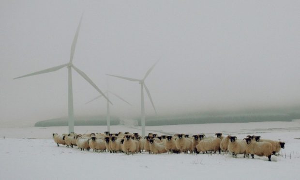 Save Our Hills are planning on uniting local windfarm pressure groups in Perthshire.