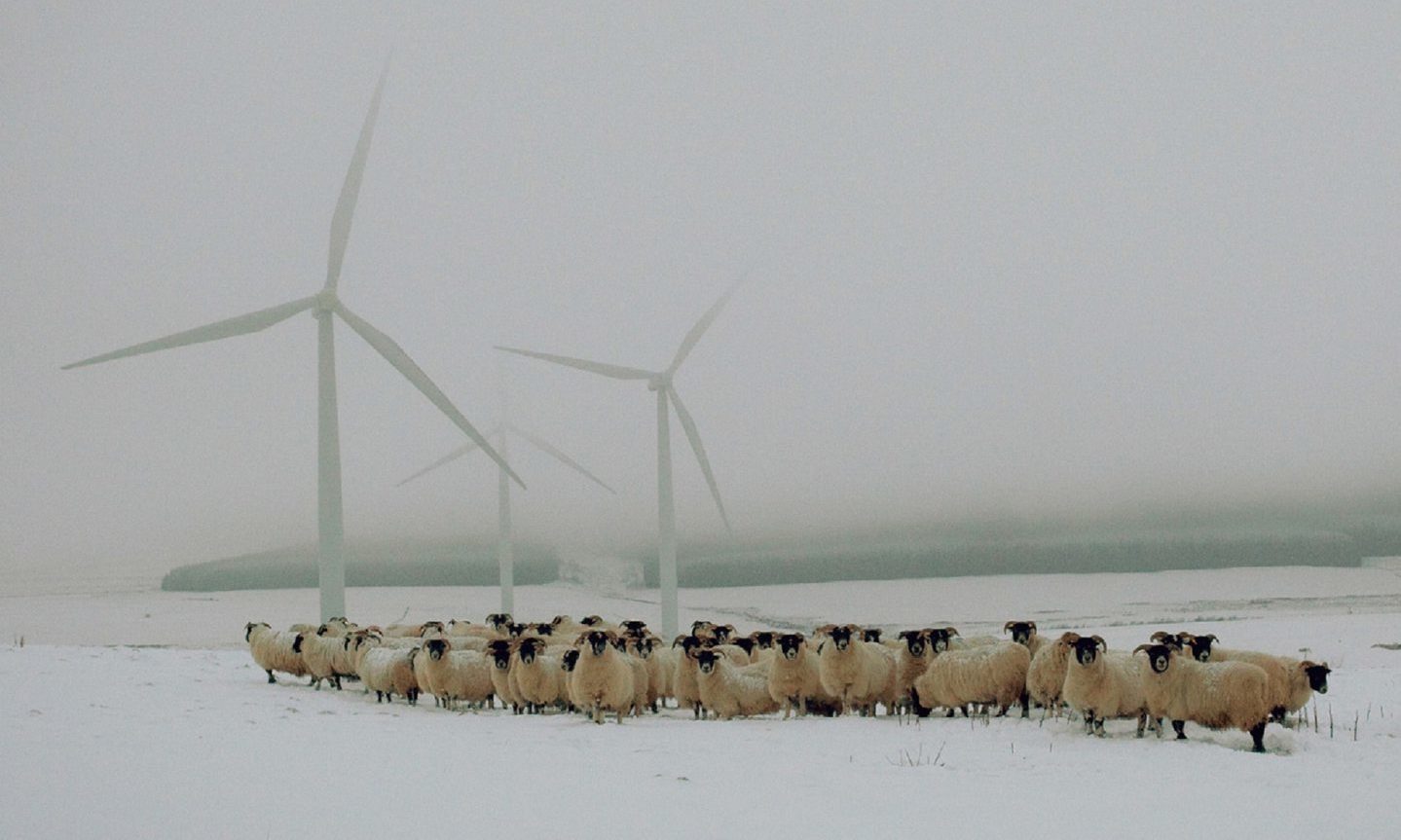Campaign group at odds with industry body over windfarm backing in Perthshire - Vimarsana News