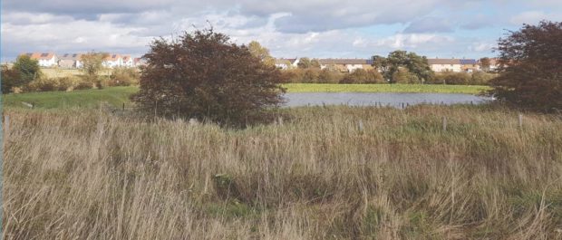 The site in question at Motray Park.