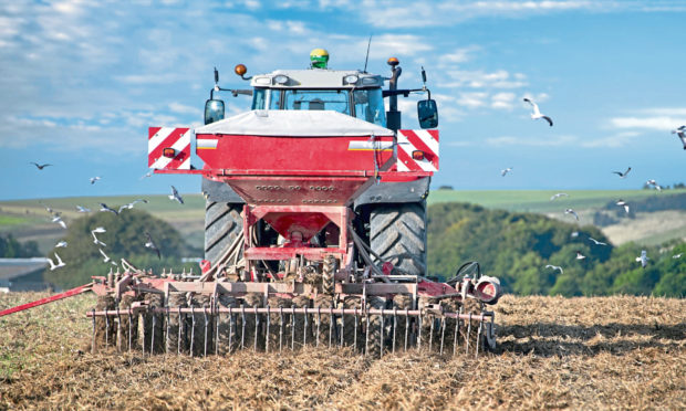 ARABLE: Growers are set to sow almost 4.5 million acres of wheat this season.