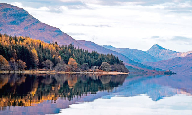 SCENIC: Experts are collaborating to restore the stunning Loch Arkaig pine forest.