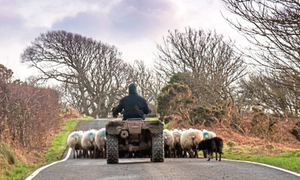 UNCERTAINTY AHEAD: Those in the sheep industry in particular will be holding their breath this weekend.