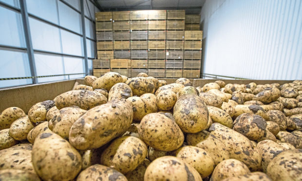 LAST CHANCE: Growers claim they are being badly served by AHDB Potatoes.