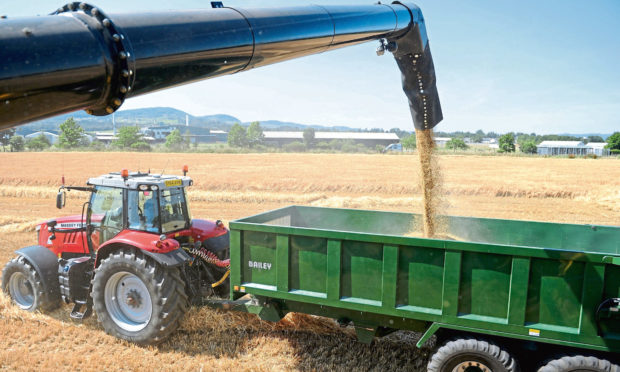 ALARM: A no-deal Brexit could severely hit Scots barley producers, says the report.