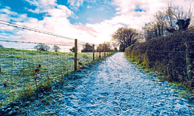 BACKING: Farmers will be supported to improve public access for activities such as walking.