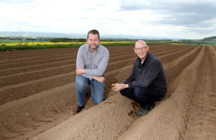 seed potato grower Sandy McGowan