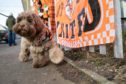Shipoo 'Delboy' in united colours outside Tannadice after McLean's death