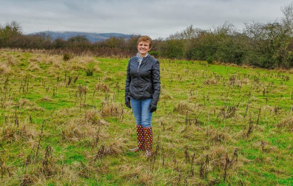 Councillor Judy Hamilton at the site of the new Minto Woodland.