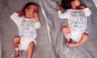 Robin-Junior and River Knox, Robyn Knox's newborn brothers, have been described as a "special delivery from heaven" by mum Danielle.