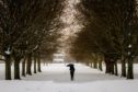 A person walking through the South Inch in the snow on March 1 during the Beast from the East.