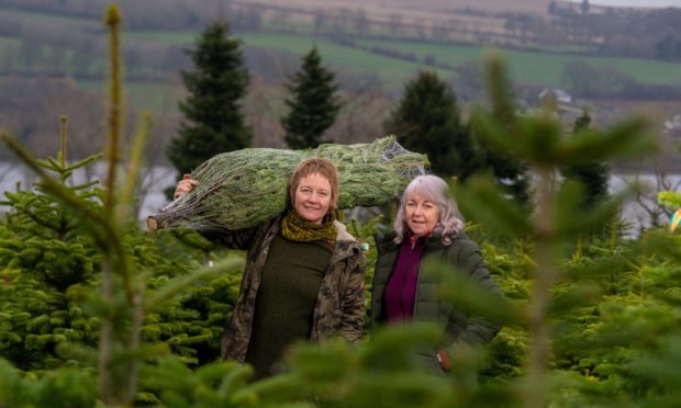 Kelly and Jean McIntyre of Sholach Christmas Tree Farm near Blairgowrie.