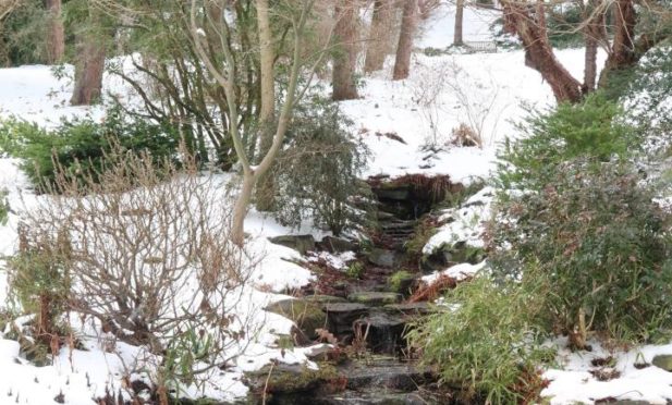 University of Dundee Botanic Garden in winter.