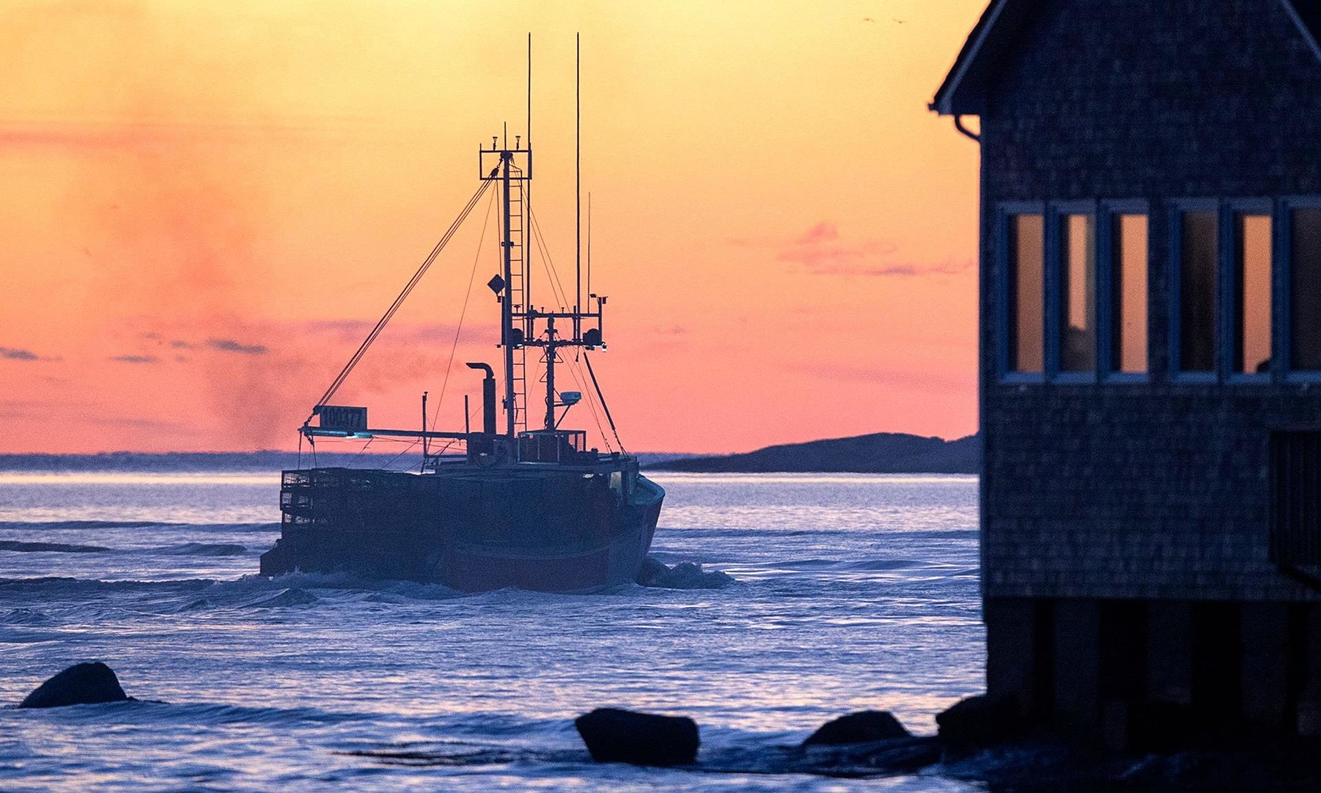 READERS' LETTERS: Tone deaf to the plight of Scottish fishing post-Brexit - Vimarsana News