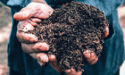 MUCKING IN: Soil health is one of the topics for discussion at the virtual workshops.