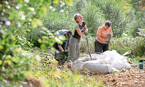 Thistle Camps carry out a wide range of conservation projects at National Trust for Scotland sites.