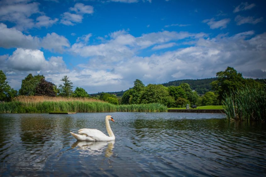Perth South Inch