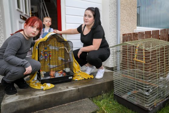 Mum, Laura Murray with Grace Murray, 9, and Jack, 1, and Scooter's empty cage.